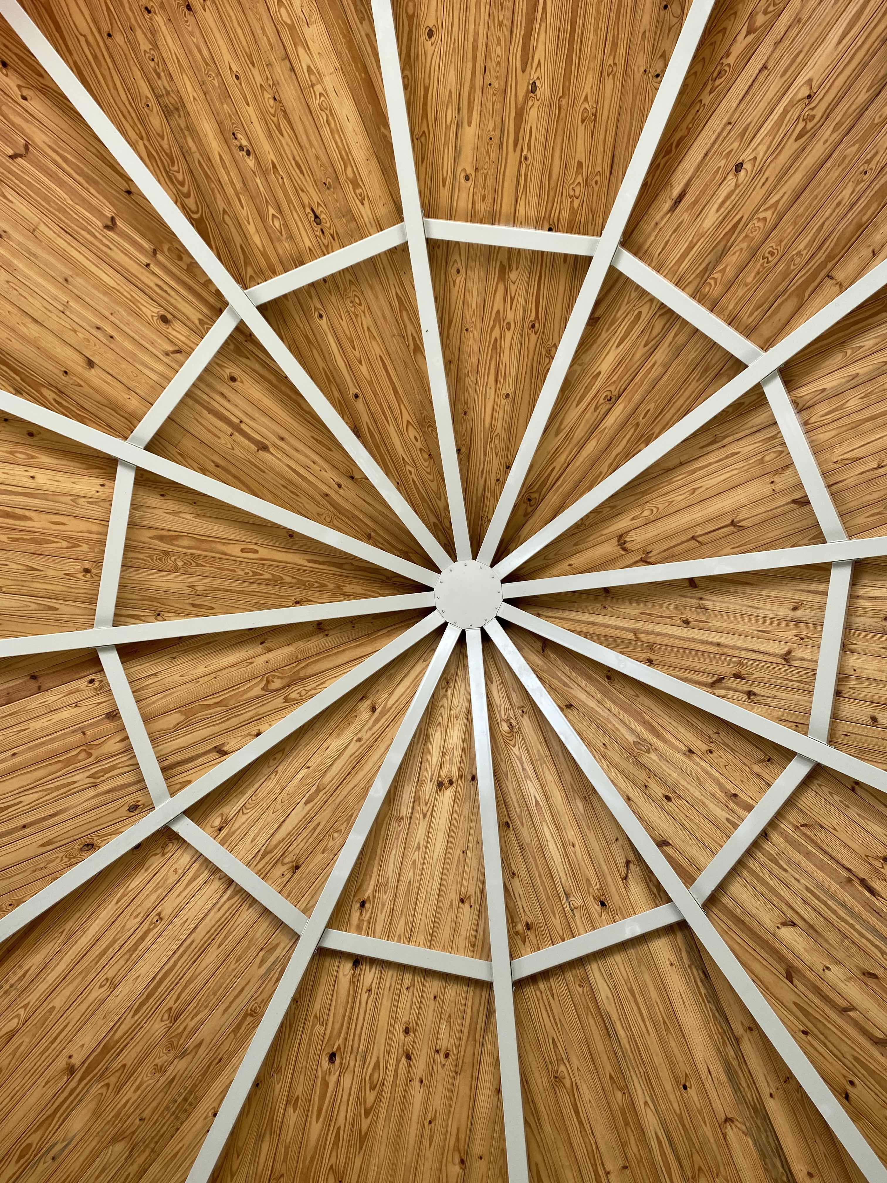 Spiderweb Canopy